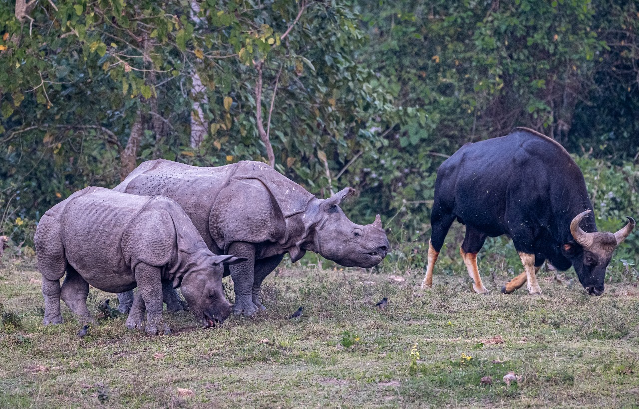 WhatsApp Image 2025-02-03 at 10.41.29 PM