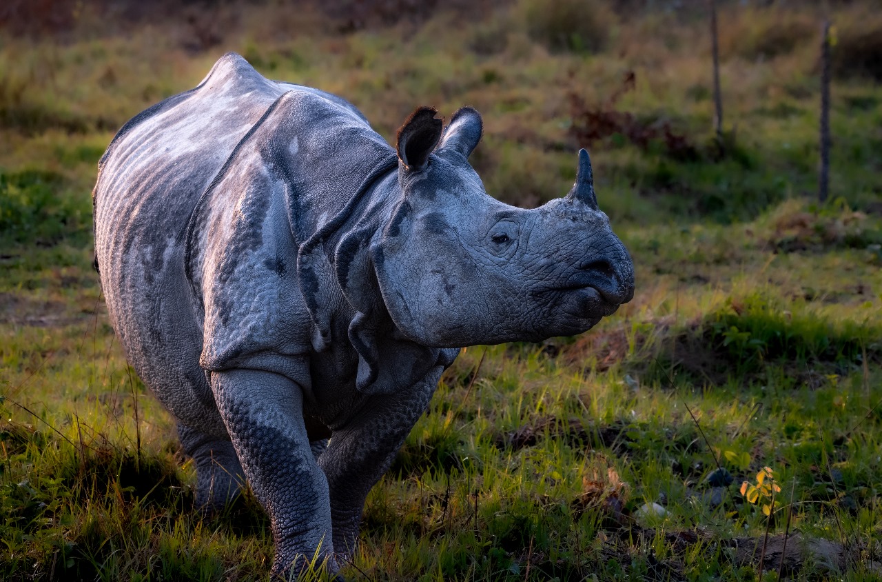 WhatsApp Image 2025-02-03 at 10.41.20 PM