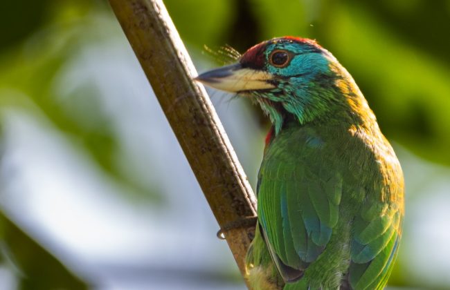 WhatsApp Image 2025-02-03 at 10.41.21 PM (1)