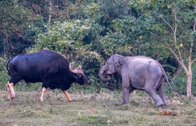 WhatsApp Image 2025-02-03 at 10.41.22 PM (1)