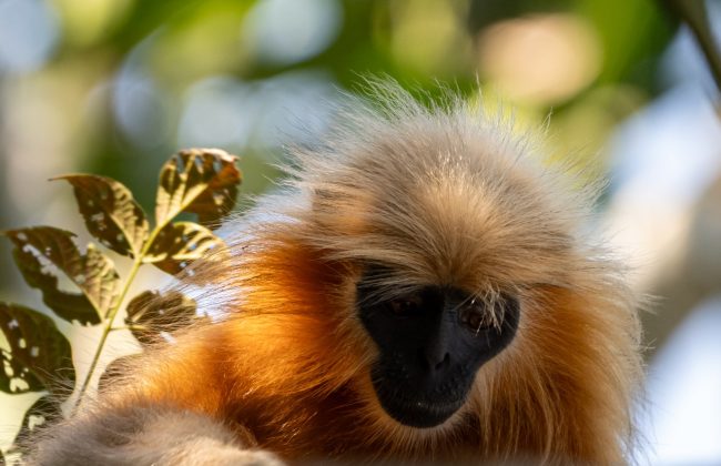 WhatsApp Image 2025-02-03 at 10.41.24 PM