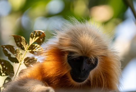 WhatsApp Image 2025-02-03 at 10.41.24 PM