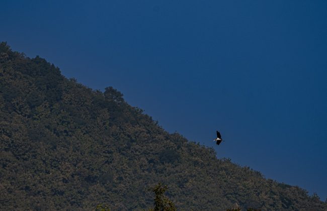 WhatsApp Image 2025-02-03 at 10.41.25 PM (1)