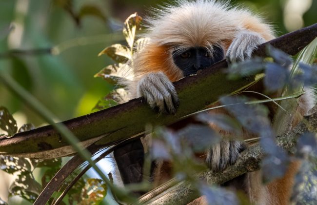 WhatsApp Image 2025-02-03 at 10.41.26 PM