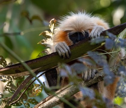 WhatsApp Image 2025-02-03 at 10.41.26 PM