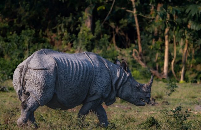 WhatsApp Image 2025-02-03 at 10.41.28 PM (1)