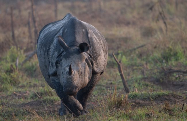 WhatsApp Image 2025-02-03 at 10.41.29 PM (1)