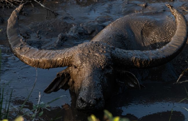 WhatsApp Image 2025-02-03 at 10.41.29 PM (2)