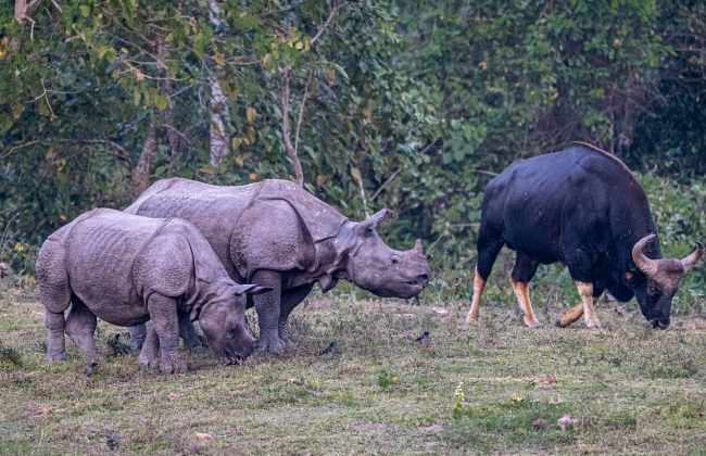 WhatsApp Image 2025-02-03 at 10.41.29 PM