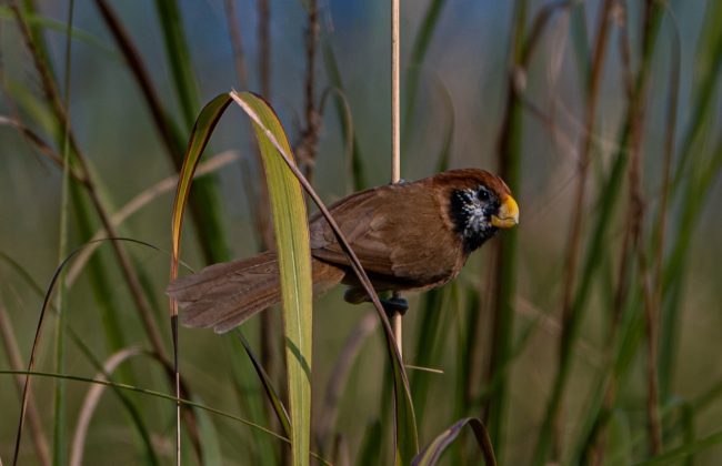 WhatsApp Image 2025-02-03 at 10.41.29 PM (4)