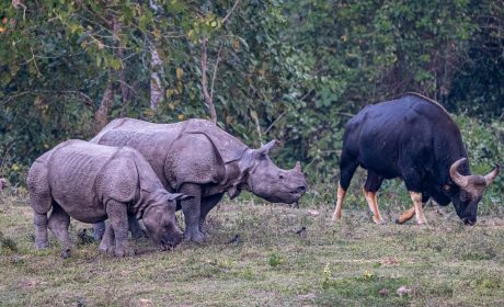 WhatsApp Image 2025-02-03 at 10.41.29 PM